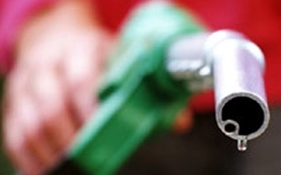 Sản xuất xăng từ… vi khuẩn E. Coli