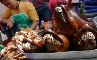 Món 'cầy tơ' trong mắt một phóng viên Anh