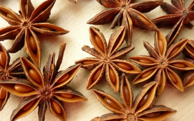 Hoa hồi: Thần dược bị 'lãng quên'