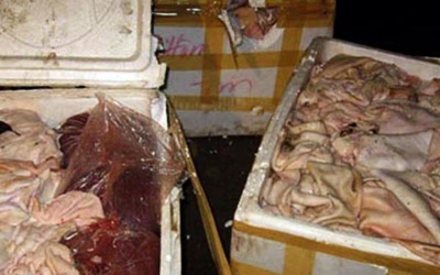 Phát hiện xe khách chở hơn 1 tấn nội tạng bốc mùi hôi thối