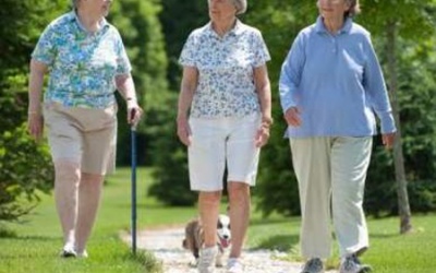 Chống xơ vữa động mạch, giảm nguy cơ đột quỵ não