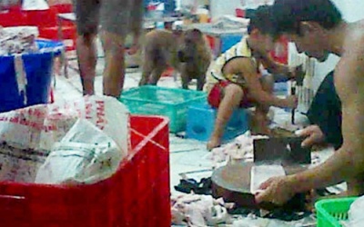 Xác định thông tin giăm bông bẩn