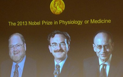 Nobel Y học 2013 vinh danh khoa học gia Mỹ và Đức