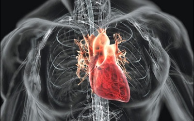 Tỷ lệ tử vong do bệnh không lây nhiễm gấp 4 lần do lây nhiễm