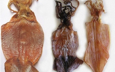 Tinh vi những chiêu biến hóa mực 'rởm'