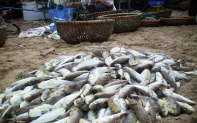 Nhu cầu các loại thuốc cấp cứu, giải độc tăng mạnh