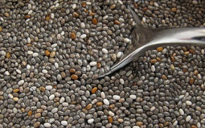 Hạt Chia - Thực phẩm của năm 2013