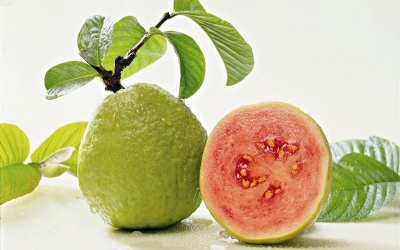 Công dụng tuyệt vời của trái ổi