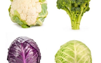 Bắp cải, súp lơ có thể chống phóng xạ