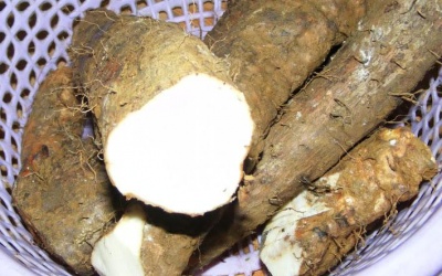 Cháo củ mài kiện tỳ, bổ thận