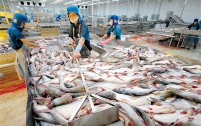 Thủy sản đuối với VietGAP