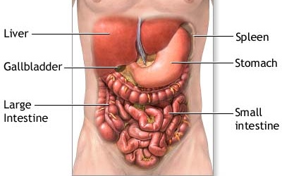 Lào Cai: Cứu sống bệnh nhân đa chấn thương, vỡ lách
