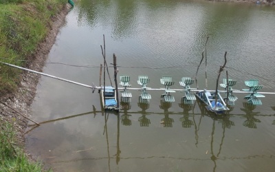 Tai nạn 'chỗ hiểm' vì máy sục khí nuôi tôm