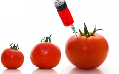 Vì sao người ta chống đối biến đổi gen?