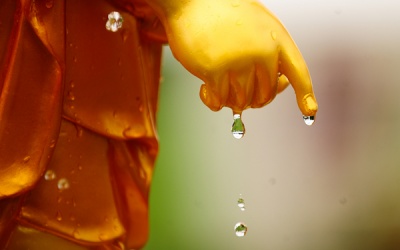 Thế nào là an lạc thật sự?