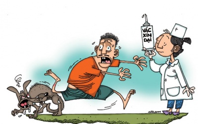 Cứ 10 phút lại có 1 người chết vì...bệnh dại