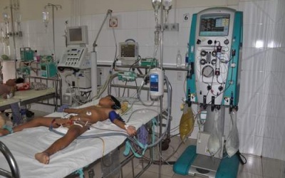 Bé 7 tuổi bị ong vò vẽ đốt được cứu sống