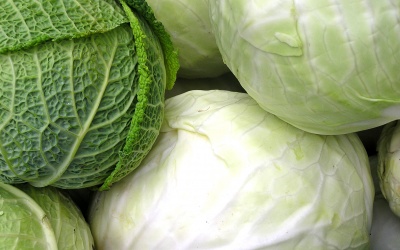 Bắp cải - Vị thuốc dân dã