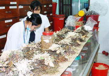Tăng cường kiểm tra chất lượng thuốc YHCT