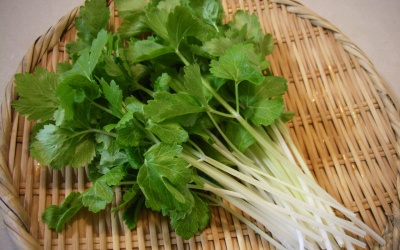 Rau mùi tây: Những bài thuốc không ngờ