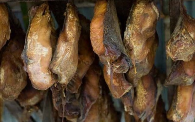 Đặc sản cá mập... lên men bốc mùi