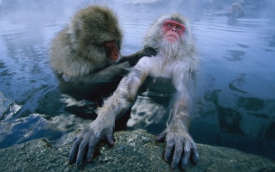 Canon và National Geographic phát động cuộc thi ảnh “Explore to Inspire”