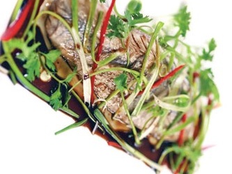 Cá bống tượng hấp dầu hào