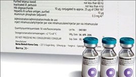 Nhiều khả năng quá tải trong đợt tiêm lại vaccine Quinvaxem