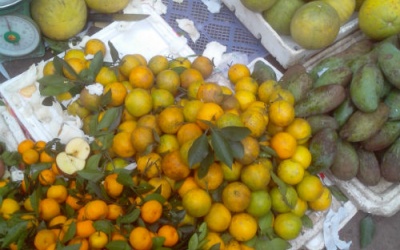 'Cam Vinh' xuất xứ Trung Quốc?!