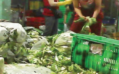 'Tận dụng' rau hỏng để 'chế' thành thực phẩm