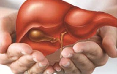 Nhận biết virus viêm gan B chuyển sang dạng hoạt động?