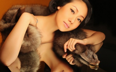 Ngô Phương Lan: Mổ xẻ thân thể không tạo ra tình yêu