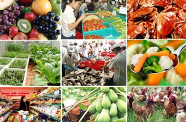 80% cơ sở vi phạm ATTP không bị phạt