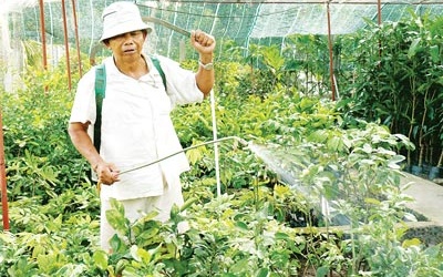 Khi cơ quan chức năng 'ngại' bắt thuốc bảo vệ thực vật lậu