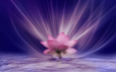 'Quả báo' vì đâu?