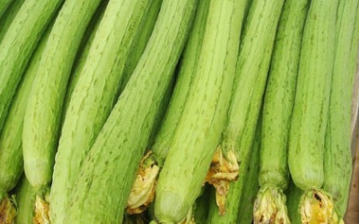 Mướp: Đẹp da, lợi sữa, trị viêm xoang...