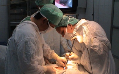 Hành trình tìm kiếm 'thiên chức' làm cha mẹ