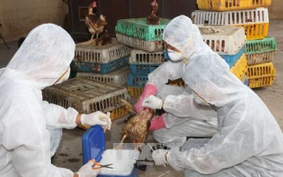 USAID trao tặng 4.000 bộ trang phục bảo vệ cán bộ thú y