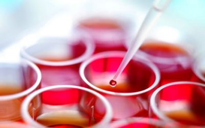 Phương pháp mới chữa bệnh bạch cầu