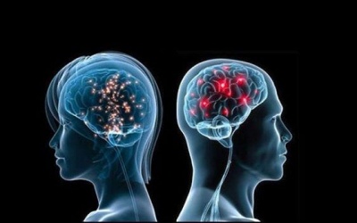 Não đàn ông, não đàn bà