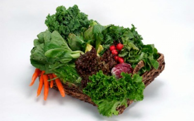 8 thực phẩm kéo dài tuổi thọ