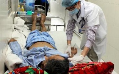 Tử vong do thiếu hiểu biết về bệnh liên cầu lợn