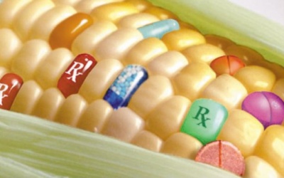 Những thực phẩm tiềm năng cho tương lai