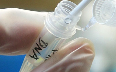 Suýt mất vợ, con vì xét nghiệm ADN