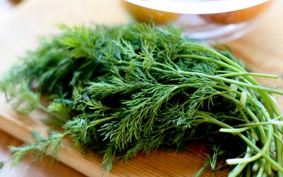 Thì là không chỉ 'cặp kè' món tanh