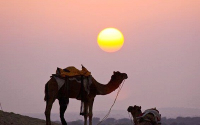 Xin vơi bớt si mê