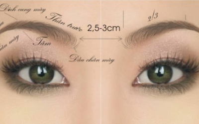 8 phát hiện về lông mày