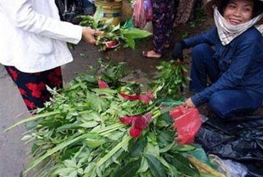 Trường hợp nào không nên xông lá?