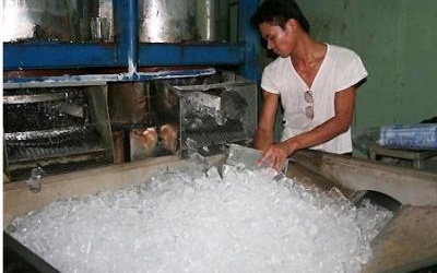 TP.HCM: 100% mẫu nước đá nhiễm vi khuẩn, trực khuẩn mủ xanh