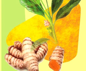 Ứng dụng công nghệ nano vào sản xuất dược phẩm